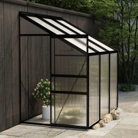 Greenhouse Anthracite Aluminum 140.1 ft¬≥