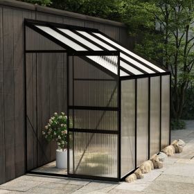 Greenhouse Anthracite Aluminum 185 ft¬≥