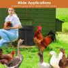 Automatic Chicken Coop Door with Timer Setting IP44 Waterproof Battery Powered Multi-Modes Chicken Coop Door Opener Anti-Pinch Function Chicken Access