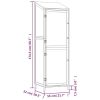 Garden Shed Anthracite 21.7"x20.5"x68.7" Solid Wood Fir
