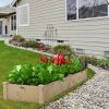 Wooden Raised Garden Bed Outdoor for Vegetables Flowers Fruit