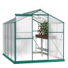 Greenhouse 6x8FT Green