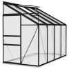 Greenhouse Anthracite Aluminum 185 ft¬≥