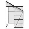 Greenhouse Anthracite Aluminum 185 ft¬≥