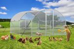 Large Metal Chicken Coop Upgrade Tri-Supporting Wire Mesh Chicken Run,Chicken Pen with Water-Resident & Anti-UV Cover,Duck Rabbit House Outdoor (10'W